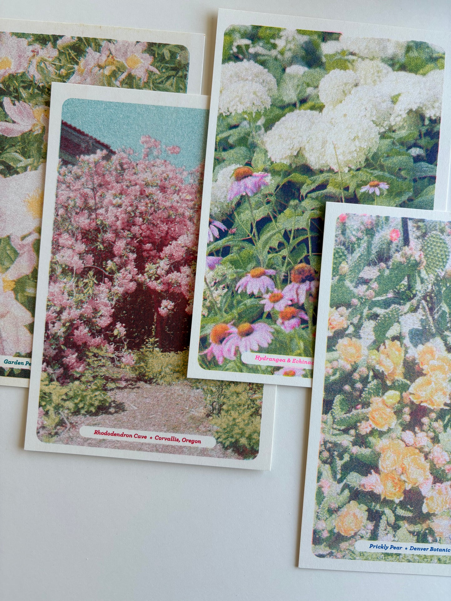 Floral Postcards Set
