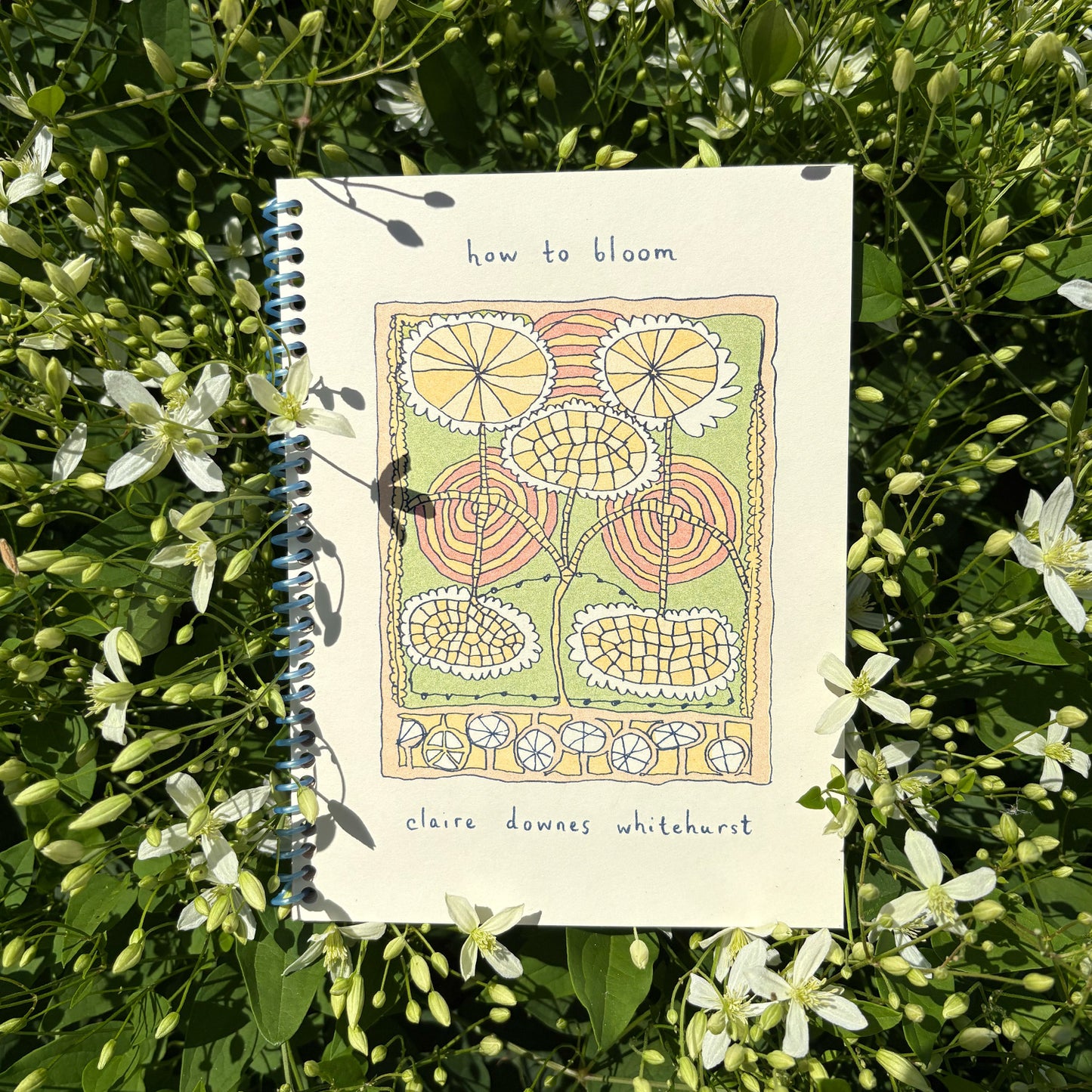 How to Bloom