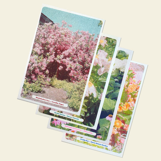 Floral Postcards Set