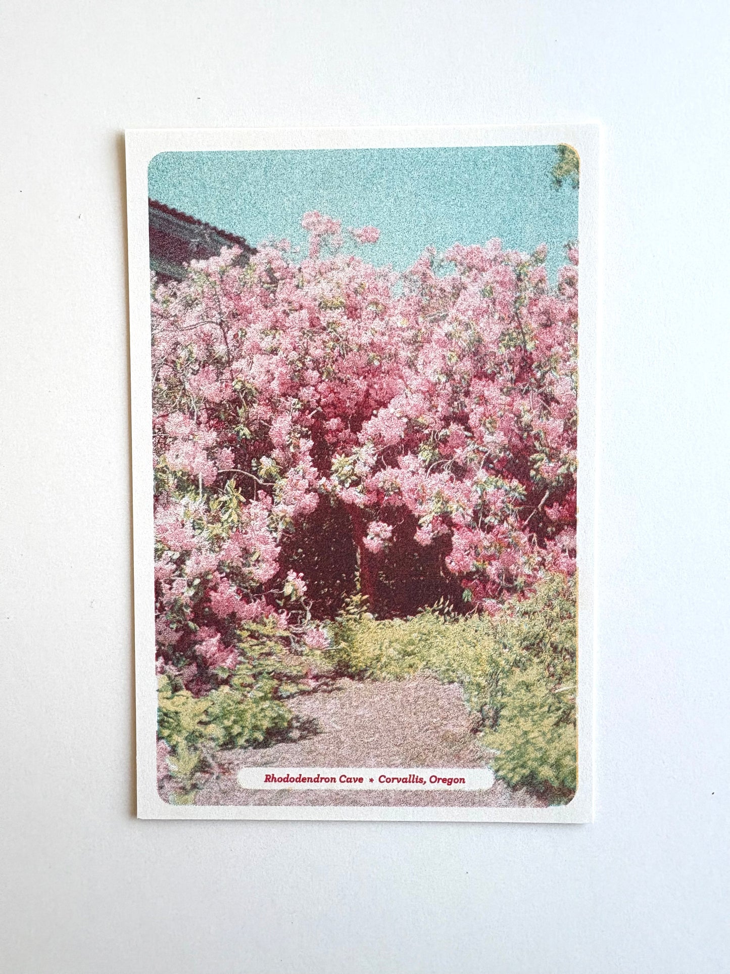 Floral Postcards Set