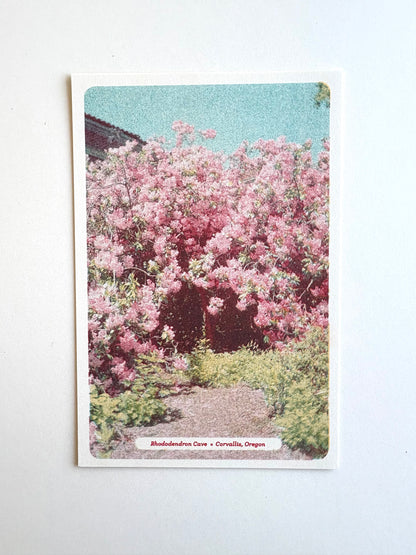 Floral Postcards Set