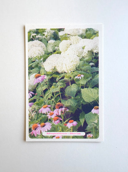 Floral Postcards Set