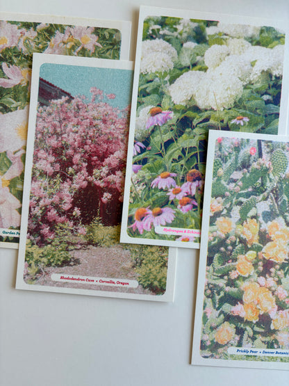 Floral Postcards Set